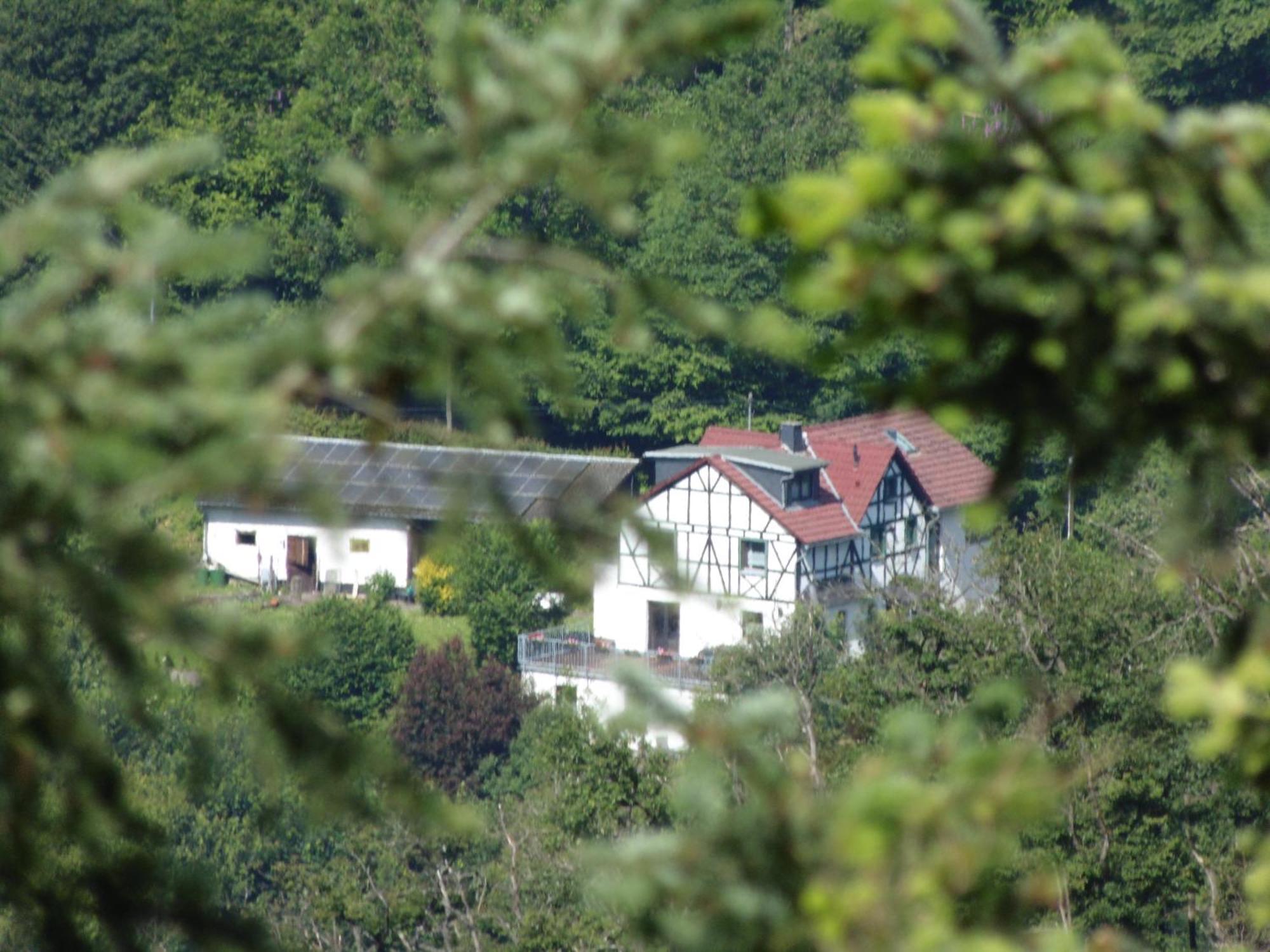 Ferienwohnung Schaefer Waldbreitbach Exterior photo